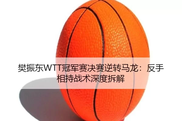 樊振东WTT冠军赛决赛逆转马龙：反手相持战术深度拆解